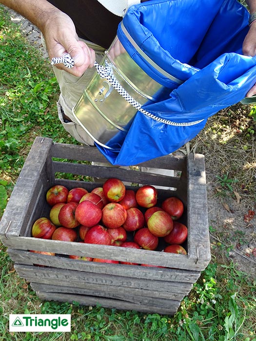 Panier de récolte